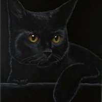 Dipinto a mano ad olio su tela - Gatto nero