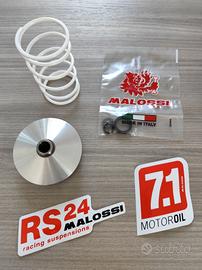 Variatore Malossi 5113790