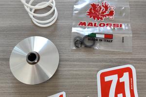 Variatore Malossi 5113790
