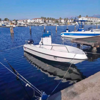 Open 4.80 Mercury 25 hp