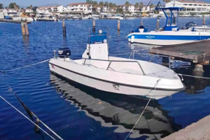 Open 4.80 Mercury 25 hp