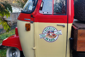 Ape con forno a legna