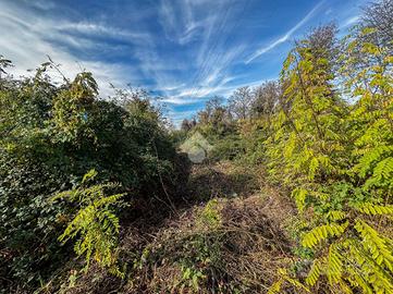 TER. AGRICOLO A LISSONE