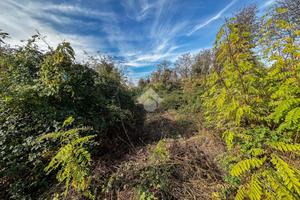 TER. AGRICOLO A LISSONE