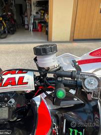 quad top 