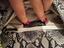 Immagine 4