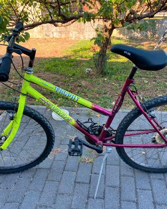 Mountain Bike 24"