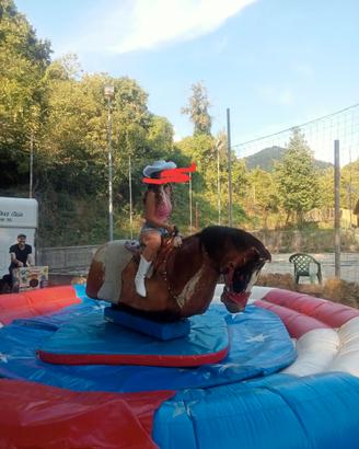 Rodeo Meccanico-Cavallo