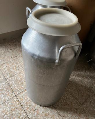 Bidoni del latte 50 lt
