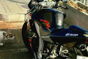 Derbi gpr r50 racing