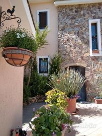 Sole mare relax a Villasimius