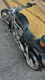 VROD Harley  Davidson