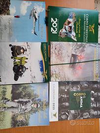 Calendario storici