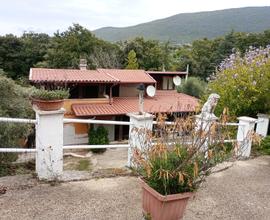 Casa con terreno