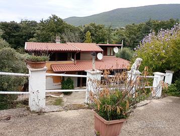 Casa con terreno