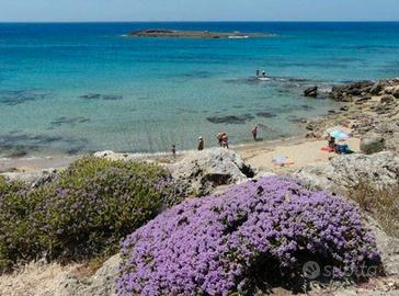 Appartamento vista mare