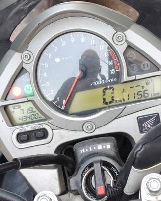 honda hornet 600