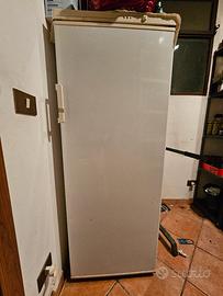 Congelatore a cassetti