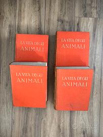 Collezione "La Vita Degli Animali "