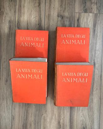 Collezione "La Vita Degli Animali "