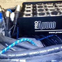 Frusta Professionale Pro Audio MT.52