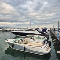 Janneaou runabout 755