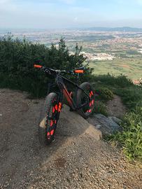 FAT BIKE SALSA BEARGREASE CARBON