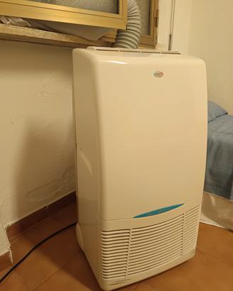 Pinguino Climatizzatore Argo 