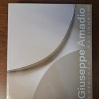 Giuseppe Amadio catalogo ragionato