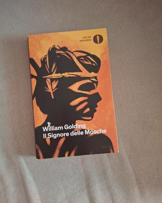 libro di narrativa 