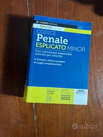 Codice Penale Esplicato Minor Simone 2022