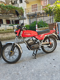 Gilera TS 50