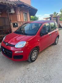 Fiat panda rossa