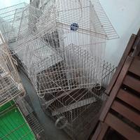 gabbiette per uccellini usate