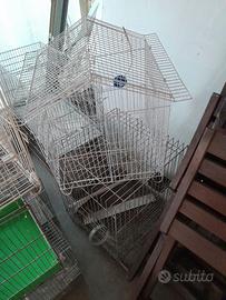 gabbiette per uccellini usate