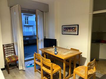 Ampio monolocale arredato con terrazzo Sondrio