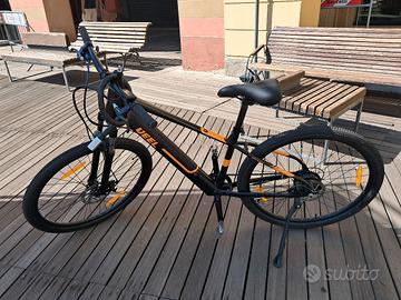 Mountain bike elettrica e carrello per cani 