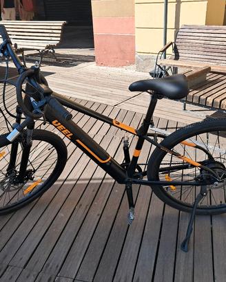 Mountain bike elettrica e carrello per cani 
