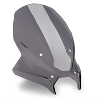 Cupolino Touring Puig MT09 2024-2025