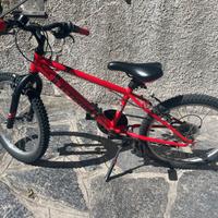 Bicicletta per bambino