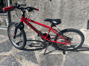 Bicicletta per bambino
