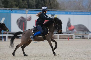 Pony per pony games/salto