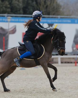 Pony per pony games/salto