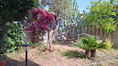 Appartamento con giardino in zona Canalicchio