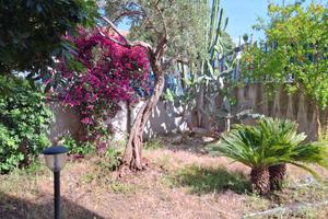 Appartamento con giardino in zona Canalicchio