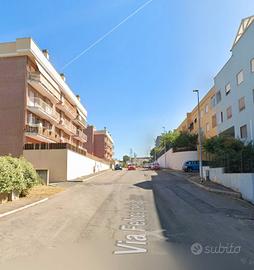 Civitavecchia ampio quadrilocale