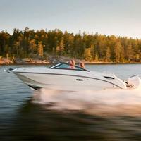 Sea Ray SDX 250 + Mercury 250 CV (pronta consegna)