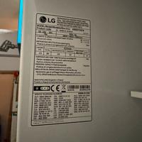 Frigorifero Combinato LG GBB62PZGFN