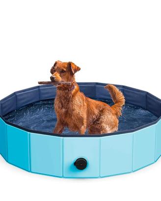 piscina per animali