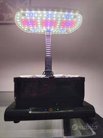 mini impianto idroponico 